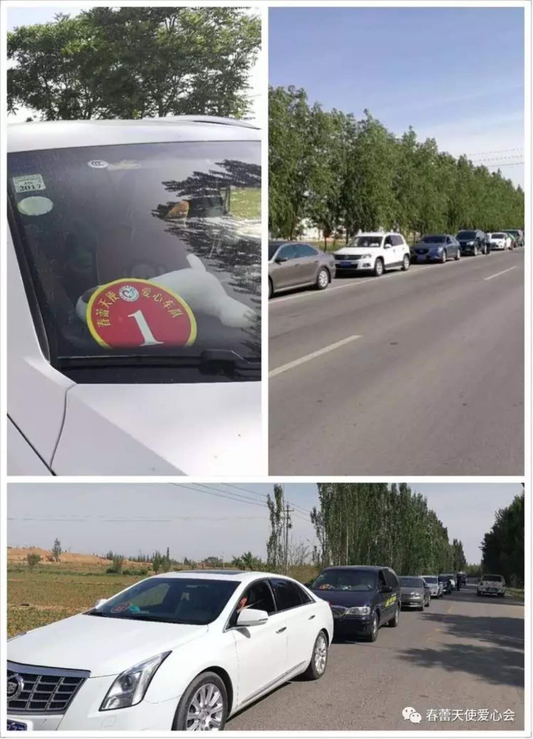 微信图片_20180802231021.jpg